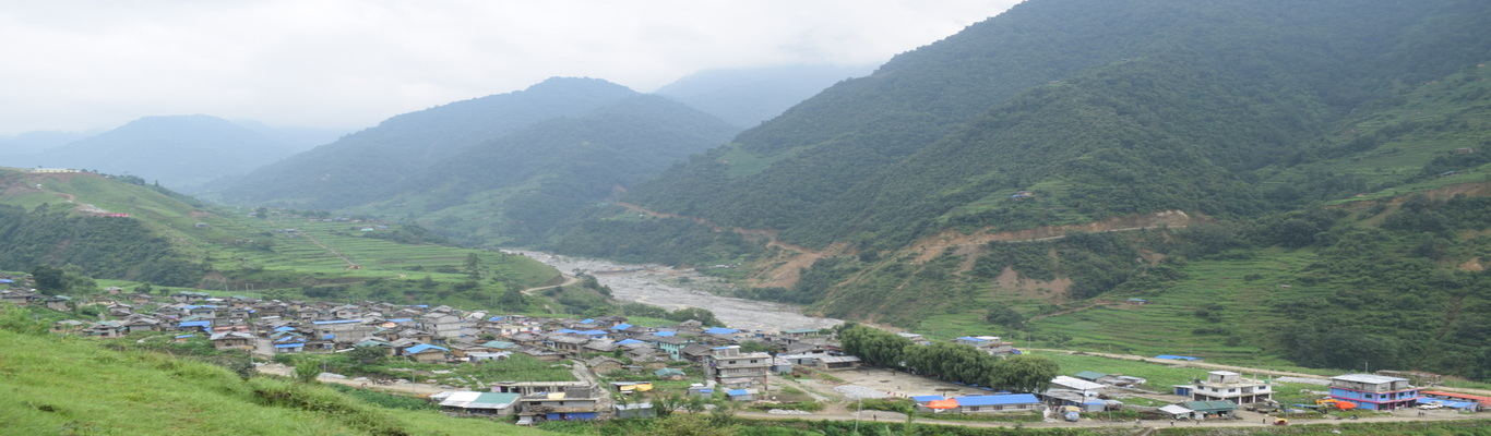 नेटवर्क समस्याले गाउँपालिका ठप्प: रोल्पा थबाङका प्रमुख प्रशासकीय अधिकृतसहित ७ कर्मचारी सम्पर्कविहीन