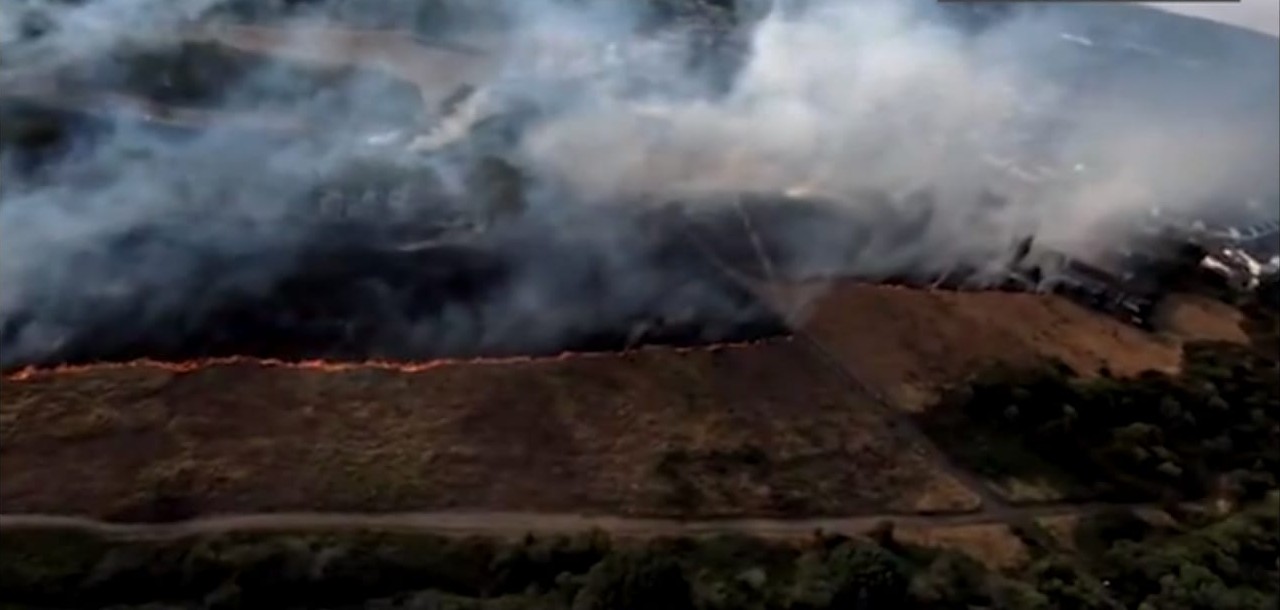 London Blaze Surge: LFB Fights More Wildfires This Summer Than All Last Year