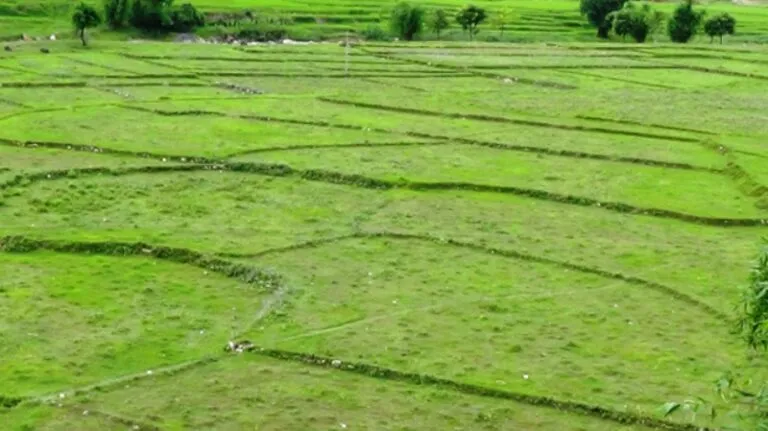 जमिनको विवरण र उत्पादनका आधारमा ५८ प्रतिशत किसान सूचीबद्ध