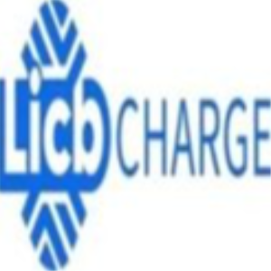 China LiCB AC DC EV Charger Co., Ltd